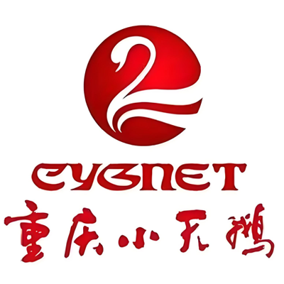 <b>重庆</b>小天鹅