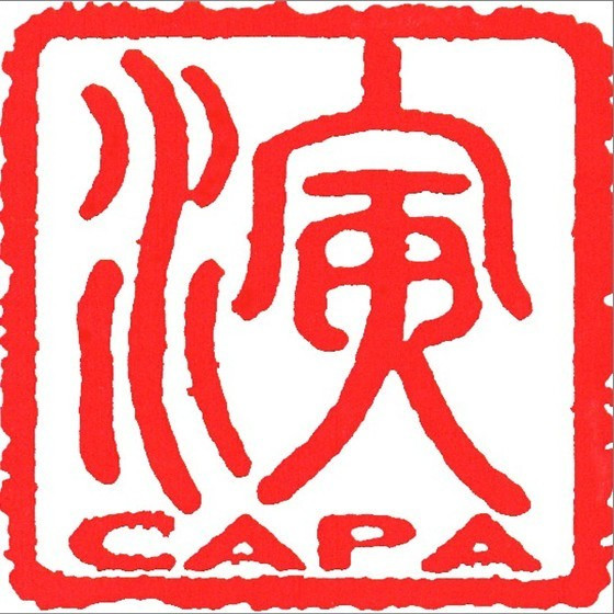中国<b>演出</b>行业协会