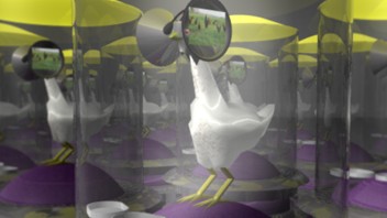 美国发明“鸡专用”的<b>VR眼镜</b>”，据说鸡身价暴涨至5万一只