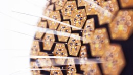 电皮计划 The Electric Skin Project