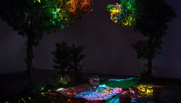 Neural Network Forest