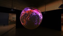 CIRCULATORY SYSTEM