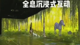  火出朋友圈的全息森林来啦！一步一景，万物皆可互动