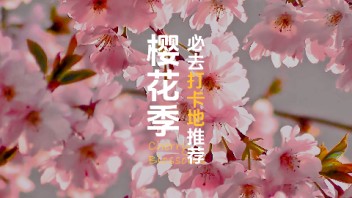 被问爆的神级打卡地！樱花季正式开启，错过等一年~let's go go go!