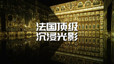 法国顶级沉浸光影