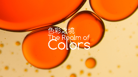 一平米博物馆｜一场科学艺术疗愈之旅