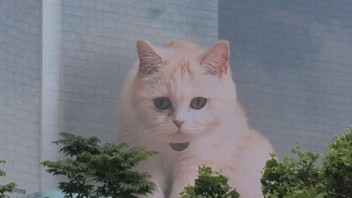 【第二弹】《CatBox》 Art is your DUTY - 城市艺术活动