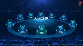上海青浦人大信息交互系统