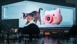 快来云rua猫！观音桥裸眼3D《猫咪泡泡》上新