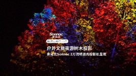 索诺克Sonnoc投影抓住最后一抹秋色，在夜幕下点亮唯美树木投影！