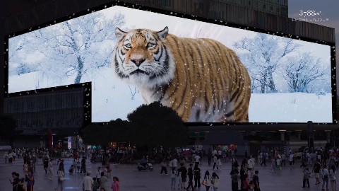 农夫山泉长白雪的3D故事于亚洲第一屏开启！