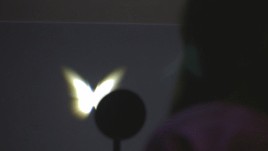 新的一年，“许愿墙”互动装置让你一睹梦想成“蝶”的快乐！