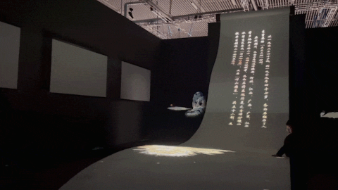 【案例视频】齐白石首个沉浸式光影艺术展