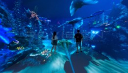 沉浸式CAVE体验 |「异星海底」720场景素材