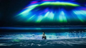ETERNAL NATURE：韩国<b>沉浸式新媒体艺术</b>作品展