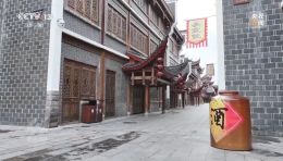 耗资24亿元的大庸古城，为何沦为了“空城”？