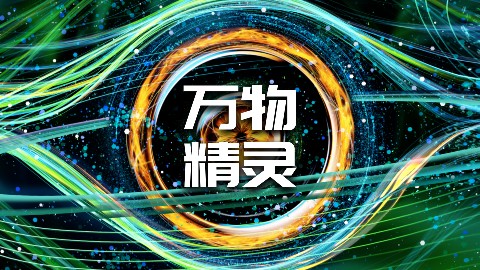 【龚震simon】万物精灵系列艺术作品