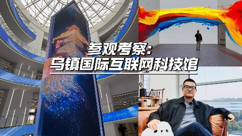 专程前往乌镇，现场体验一件大型裸眼3D交互艺术影像装置作品——《和合共融》