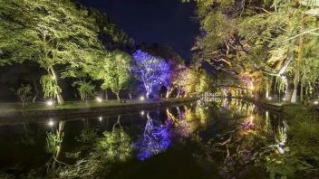 延续夏日夜游热潮，各地开启夜游活动“燃”不停