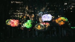 奇幻光影森林之山海幻境——中国戏曲学院舞美系实践基地沉浸文旅夜游项目