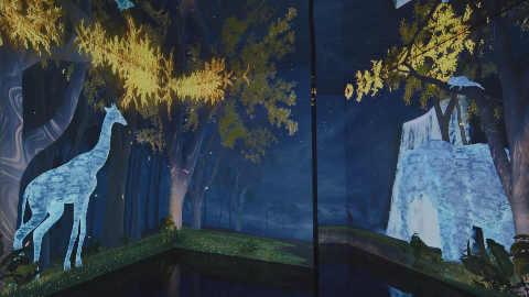 CAFÉ DIOR SEONGSU 'INSPIRATION JUNGLE'
