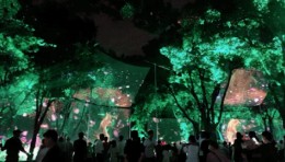 无锡梅园灯光节-纱幕投影
