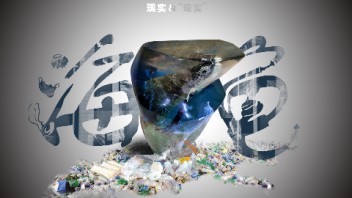 龙东成丨现实与“现实”——绿海龟