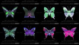 宝马和英特尔打造的🦋翻车了？同济大学副教授作品被指抄袭大悲宇宙作品