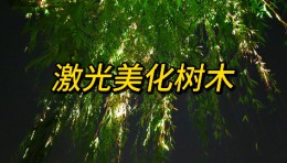 灯影斑驳夜色柔，美景浸润心头舒