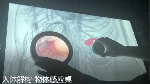 物体感应桌---人体解构
