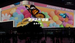 今日惊蛰，唤醒蛰伏的绚烂，拥抱盎然春意。