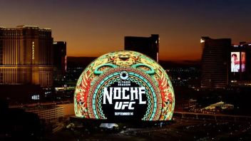 <b>拉斯维加斯</b>UFC306 超吸睛的比赛现场