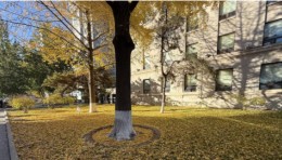 当一家会展集团成为失信被执行人