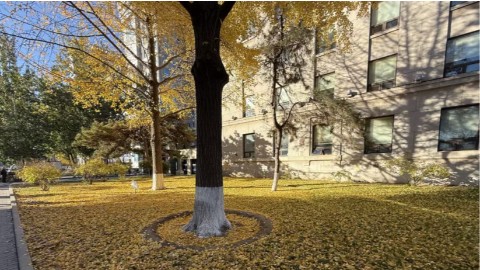 当一家会展集团成为失信被执行人