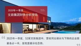 2025年一季度文旅集团财务分析报告