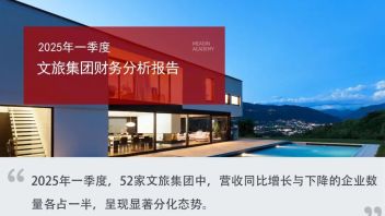 2025年一季度文旅集团财务分析报告