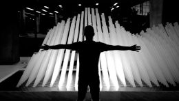 New Media Art——Cedar Point Reeds