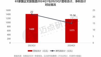 2024年文旅集团投资运营发展报告