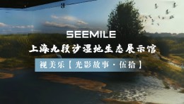 光影探秘九段沙，视美乐以创新投影技术演绎湿地生态自然秀