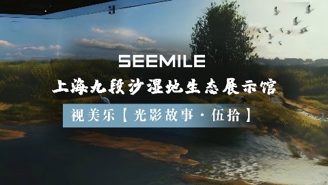 光影探秘九段沙，视美乐以创新投影技术演绎湿地生态自然秀