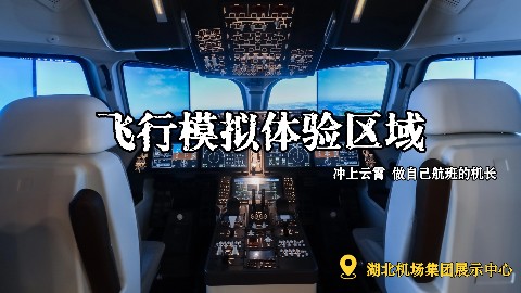 C919飞行模拟体验，Captain已就位！