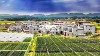文化和旅游部2019年文化和旅游发展<b>统计公报</b>