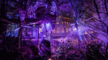 演出活动 | 博物馆奇妙“夜”，10英亩灯光森林徒步体验