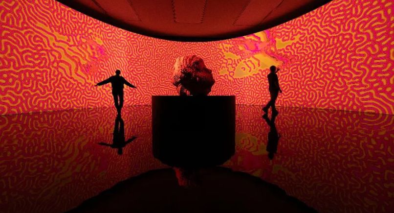 【1220】展览展示 | 关于“虚幻和自然”的120种畅想