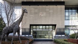 名家汇起诉城管局追偿1.87亿；风语筑涨停市值达66亿；中东首个数字艺术专馆宣布揭幕！