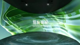 展厅服务商怎么选？深圳干细胞展厅设计五家机构盘点