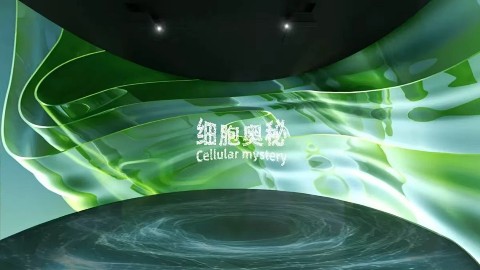 展厅服务商怎么选？深圳干细胞展厅设计五家机构盘点