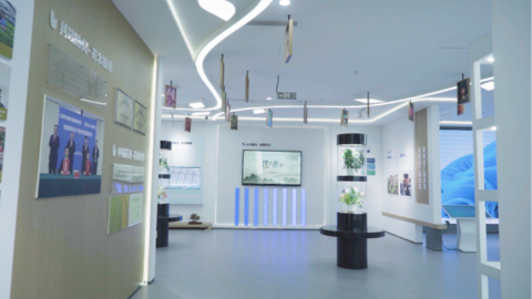 【案例分享】江苏宿迁沭阳花谷主题展厅