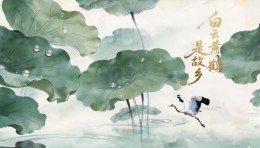 火影数字《白云黄鹤是故乡》沉浸式舞美视效解析