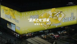 今日立秋，银杏翩跹，秋序初开。
